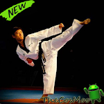 Cover Image of डाउनलोड Best Taekwondo Tutorials 2.0 APK