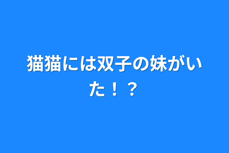 「猫猫には双子の妹がいた！？」のメインビジュアル