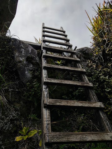 Mount Karioi Summit Ladder