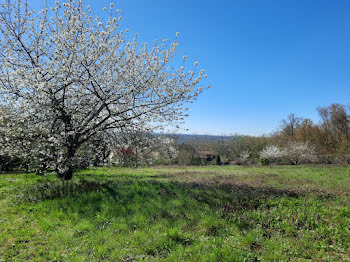 terrain à Thiers (63)