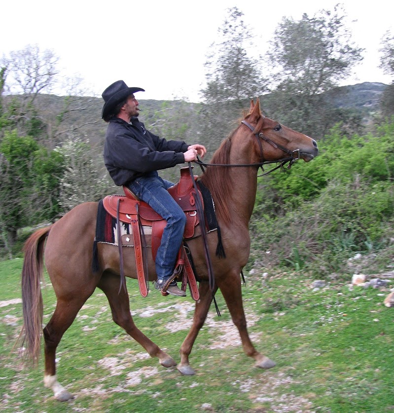 Italian cow boy di Elisabetta Di Girolamo