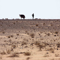 verso la desertificazione di 