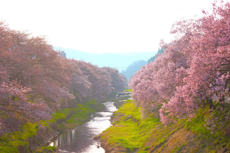 の投稿画像5枚目