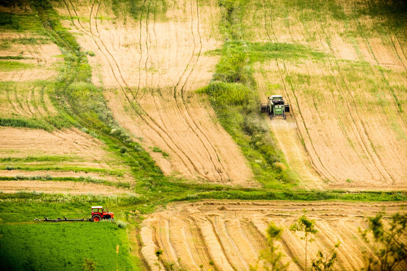 Sottili geometrie Agricole di Bobp