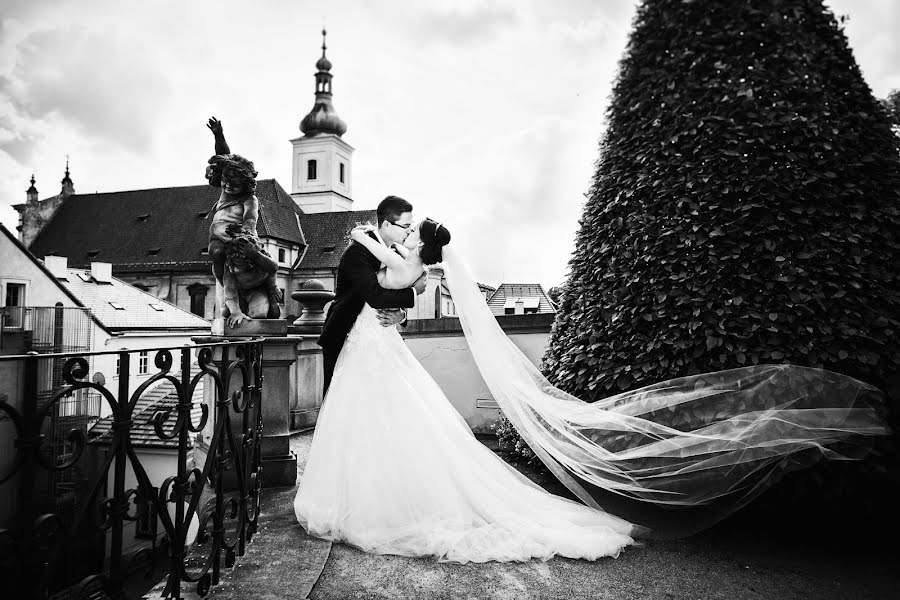 Vestuvių fotografas Tatyana Malysheva (tabby). Nuotrauka 2017 lapkričio 5