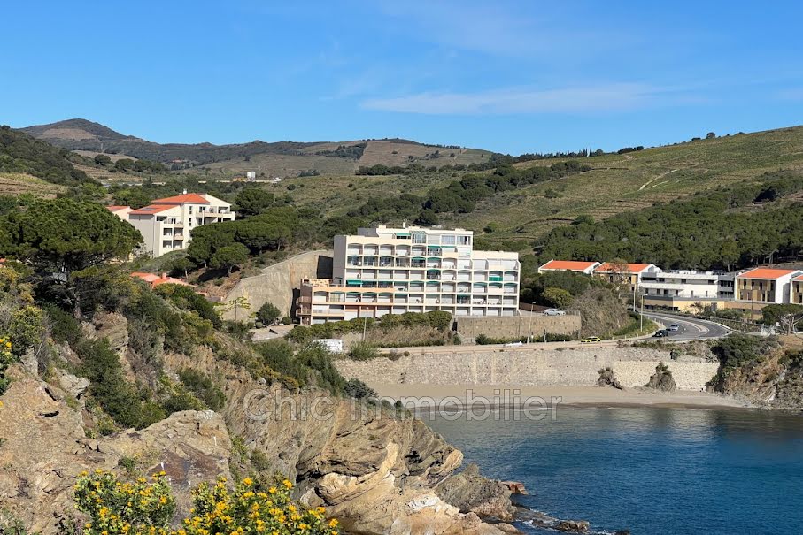 Vente appartement 3 pièces 57.42 m² à Banyuls-sur-Mer (66650), 250 000 €