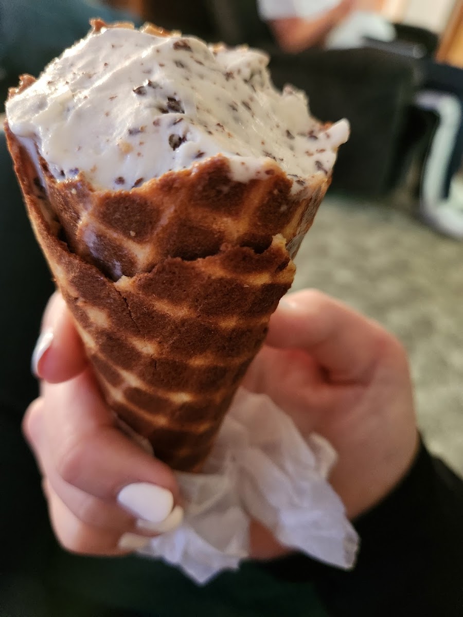 End of my 3 scoop waffle cone!