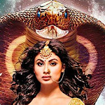 Cover Image of Download Naagin Full Episode 6.2 APK