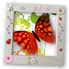 Butterfly Raising - My Butterfly garden 1.0.4