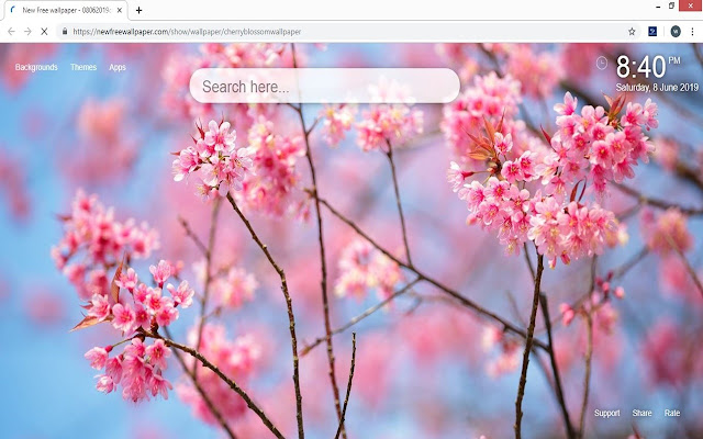 Cherry Blossom HD Wallpapers New Tab Themes