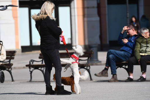 Danas u Srbiji promenljivo oblačno vreme sa sunčanim intervalima