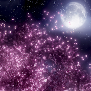 Cherry blossom LiveWallpaper  Icon