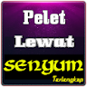 Ilmu Pelet Lewat Senyuman Ampu icon