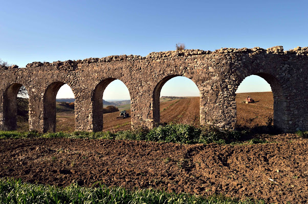 Nella Tuscia di mtan73