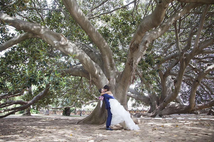 Fotografo di matrimoni Elisabetta Figus (elisabettafigus). Foto del 21 settembre 2015