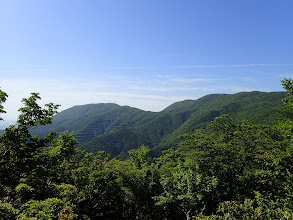 焼尾山から藤原岳を望む