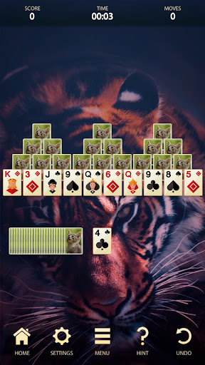 Screenshot Classic Solitaire: Card Games