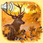 Cover Image of Herunterladen Autumn Animals Live Wallpaper 1.2 APK