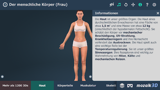 Der menschliche Körper (Frau) Bildungs-3D VR Screenshot