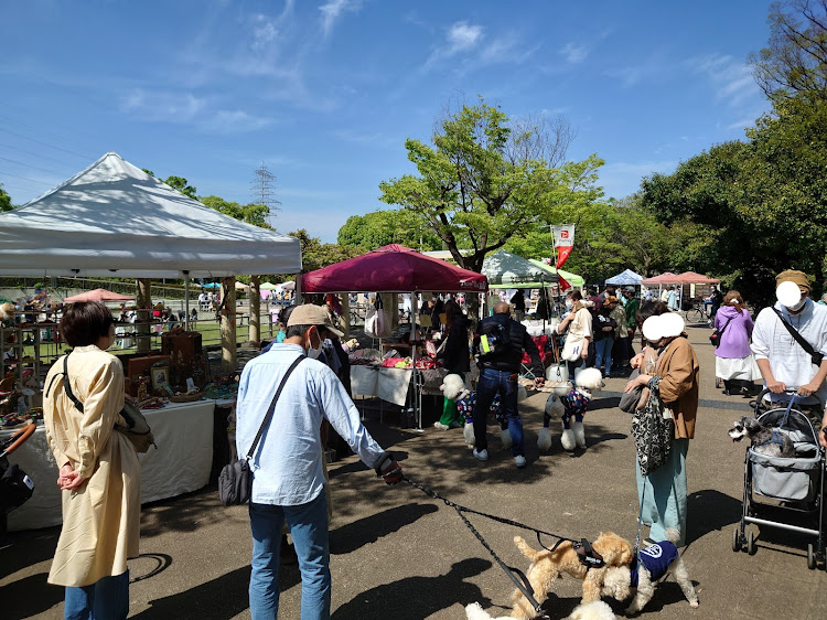 グラントゥーリズモの八尾市久宝寺緑地・ドギーズマート・皆さんいつもいいねとコメントありがとうございます🙇・久宝寺緑地駐車場にてに関するカスタム事例の投稿画像2枚目