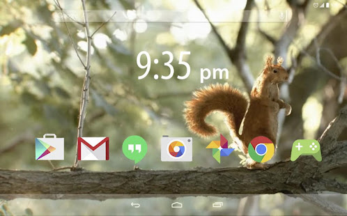 Little red squirrel LWallpaper(圖4)-速報App