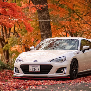 BRZ ZC6