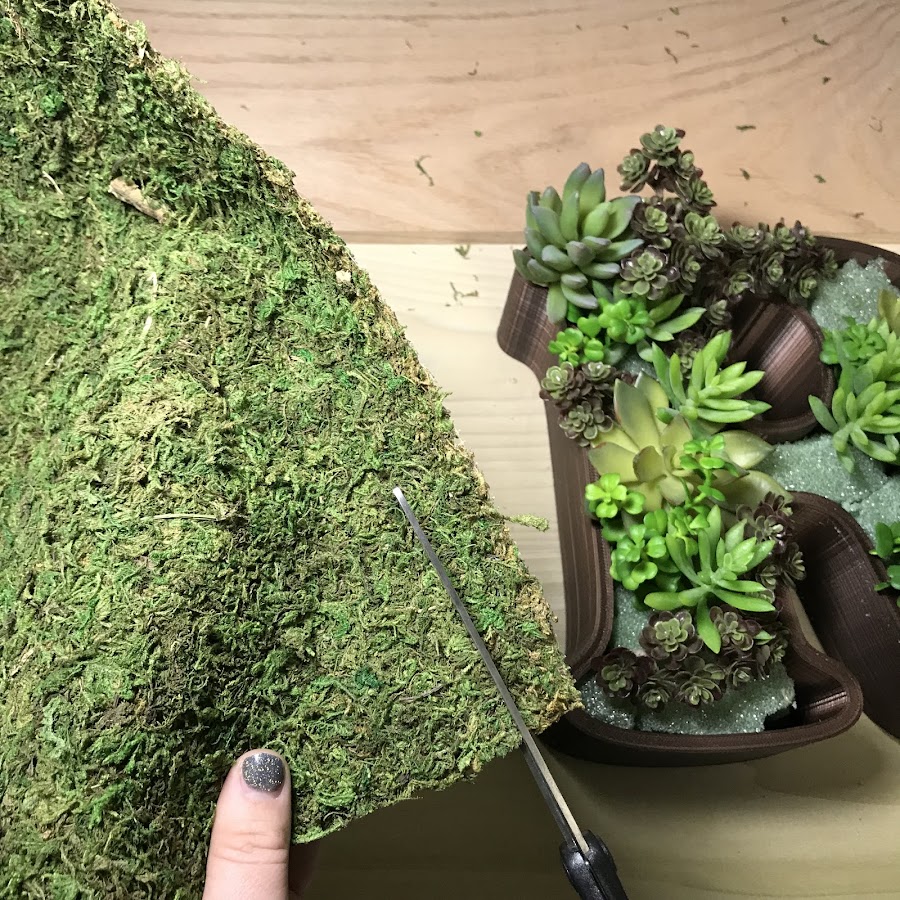 Cutting the filler moss to block the foam from sight