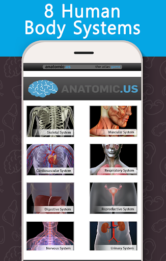 Screenshot Anatomy Game Anatomicus Pro