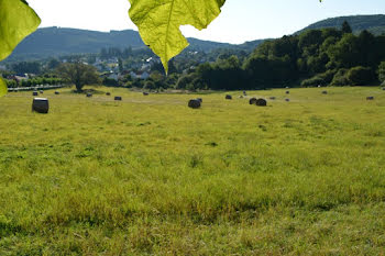 terrain à Saint-Sulpice-Laurière (87)