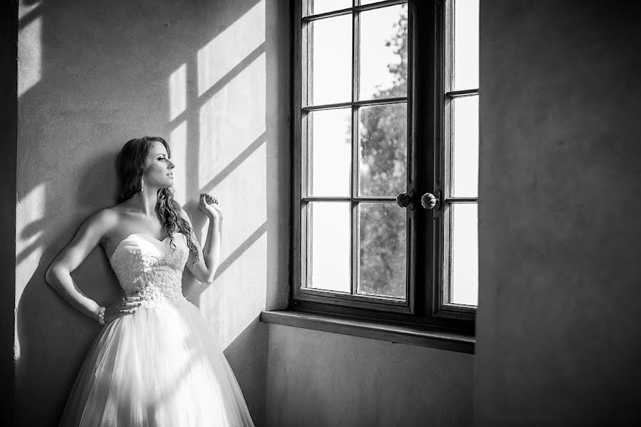 Fotógrafo de casamento Karolina Dmitrowska (dmitrowska). Foto de 10 de fevereiro 2016