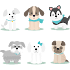 Amazing Cute Puppy Stickers WAStickerApps New 20191.0