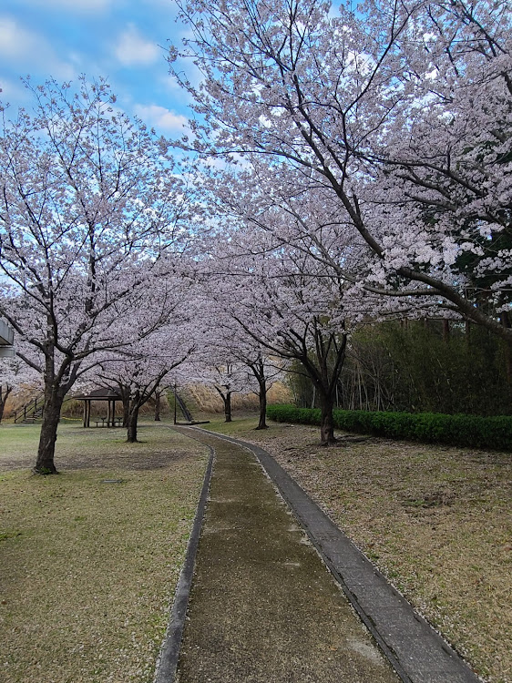 の投稿画像4枚目