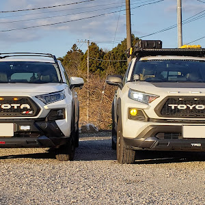 RAV4 MXAA54