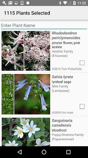 Screenshot Virginia Wildflowers