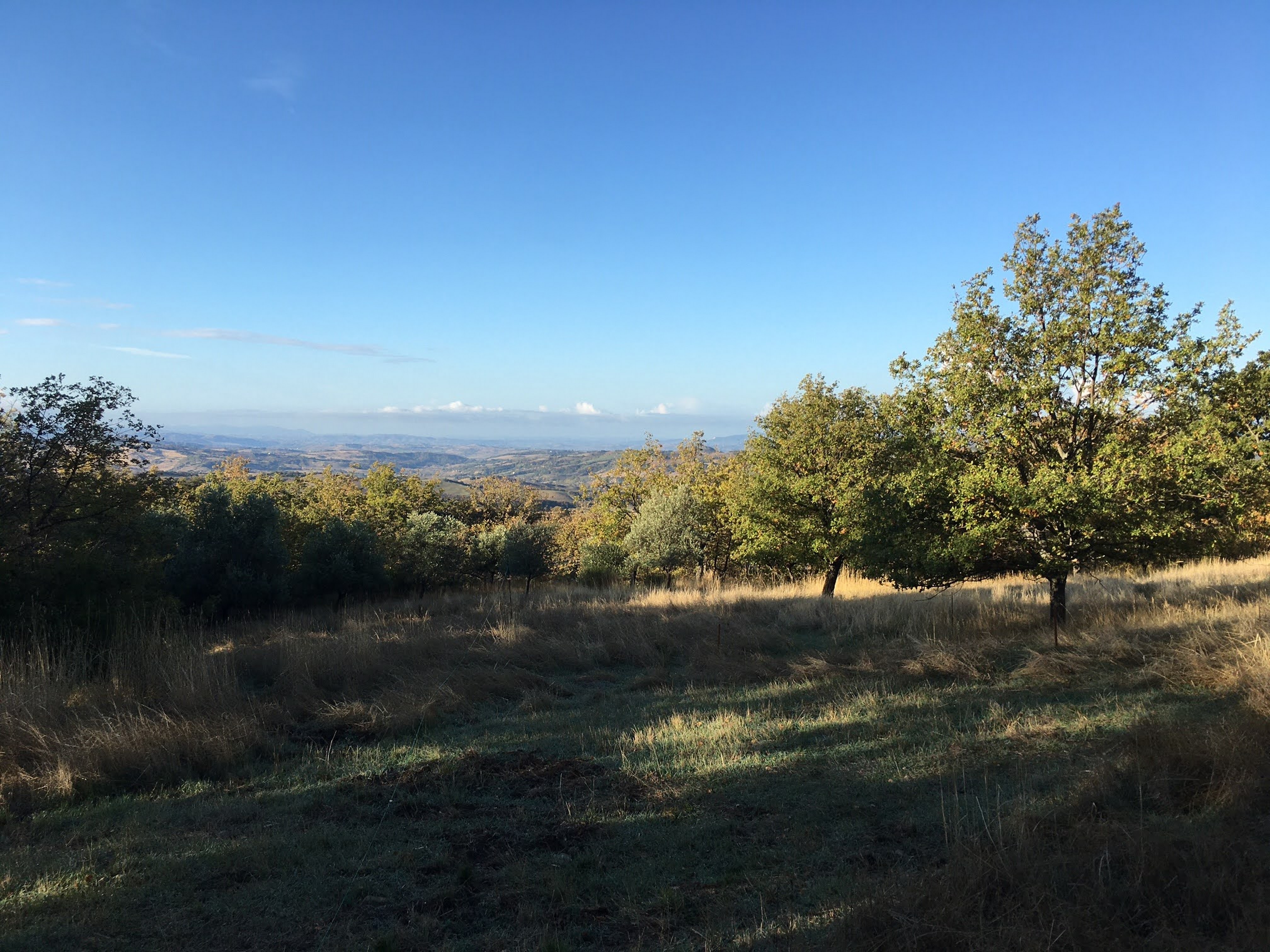 View on the unspoilt landscape of the Tuscan Maremma, revealing an ideal place for a swimming pool.