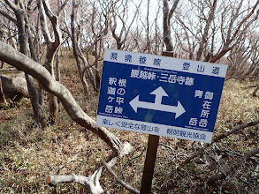 根の平峠分岐