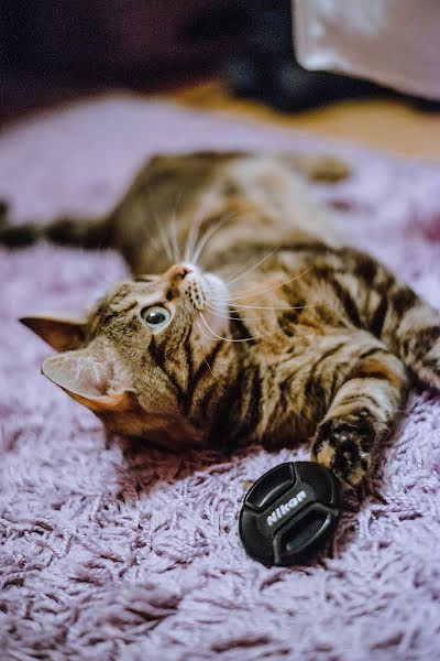 Fotografer pernikahan Irina Lopatkina (irinaalexeevna). Foto tanggal 8 Oktober 2020