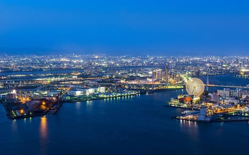 Osaka Port Night Lights screenshot 1