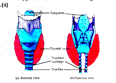 Solution Image