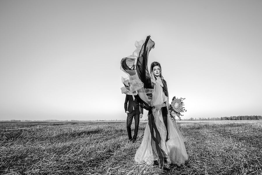 Fotografo di matrimoni Anna Shadrina (ashan). Foto del 24 novembre 2016