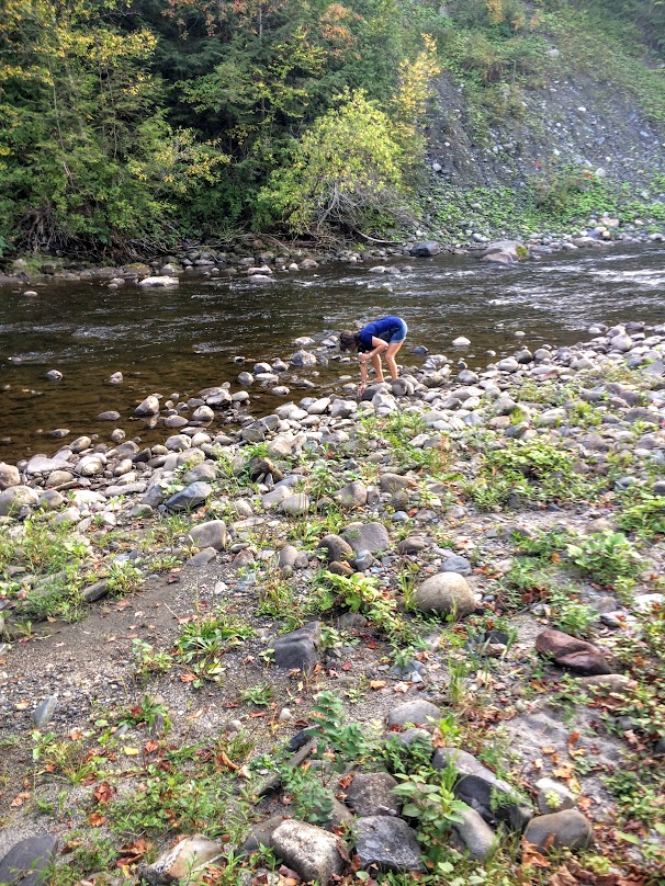 This girl always has to check out the water...Moose River in this case.