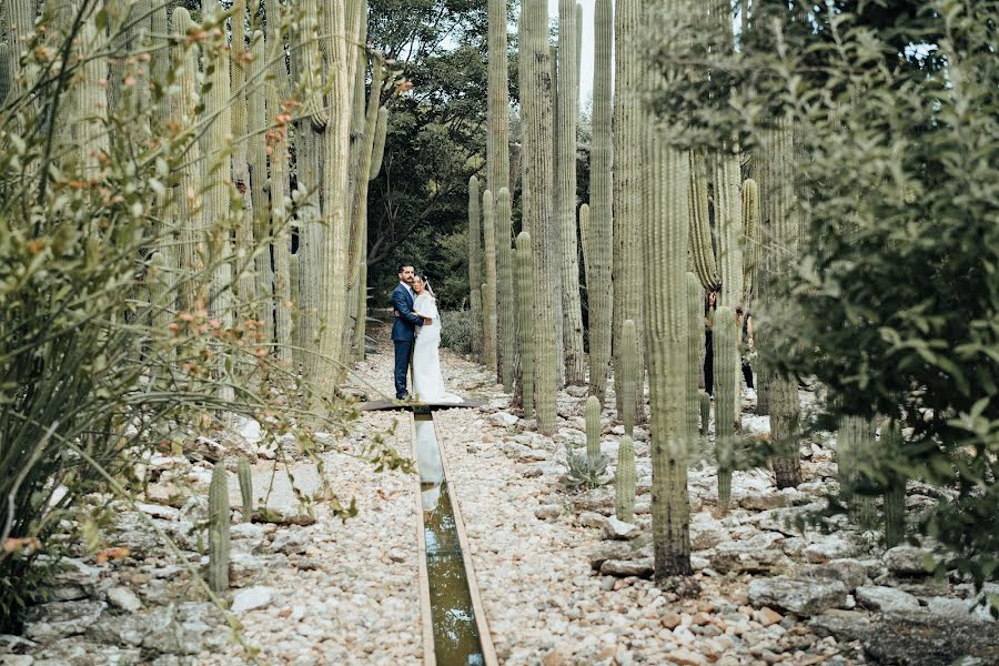 Fotógrafo de casamento Maximo Cuauhtemoc Sanchez  Hernandez (procamestudio). Foto de 28 de dezembro 2023