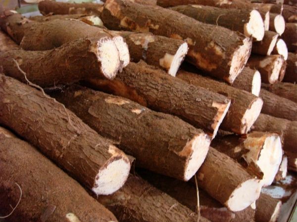 Raw cassava