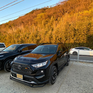 RAV4 MXAA54