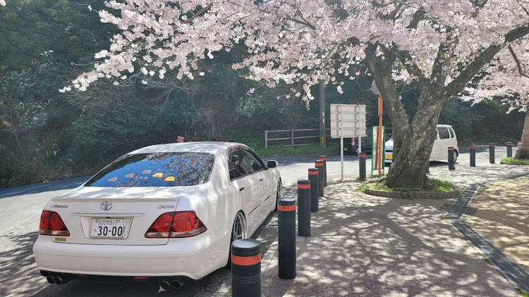 クラウンアスリートのUltimate Fellow・桜とコラボ🌸・桜・いつもイイネ&コメントありがとうございます🙇‍♂️・モルカーに関するカスタム事例の投稿画像4枚目