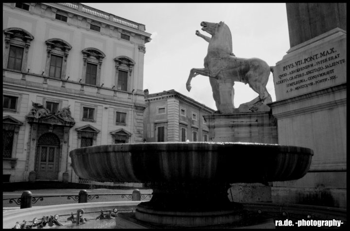 Grigiore Capitolino di rade