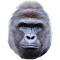 Item logo image for Harambe Zoo