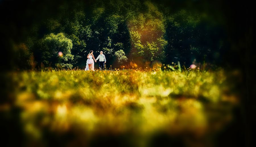 Fotografo di matrimoni Rita Szerdahelyi (szerdahelyirita). Foto del 3 novembre 2015