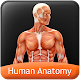 HumanAnatomy-MuscularSystem Install on Windows
