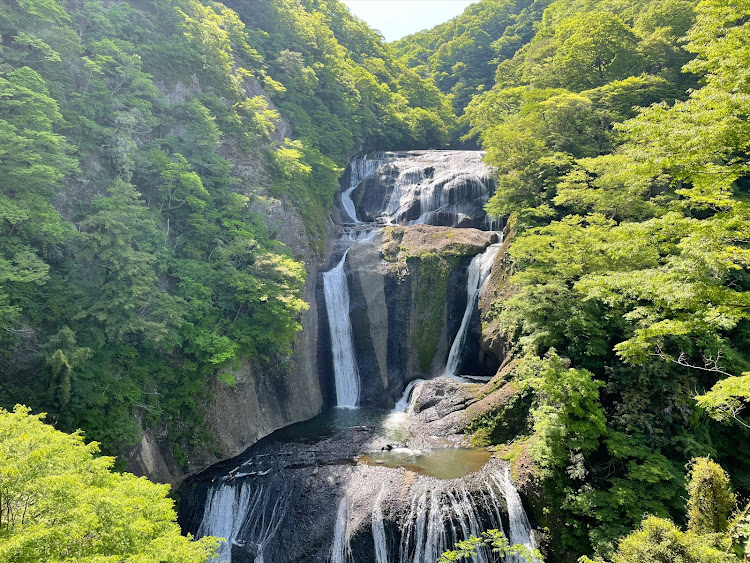 の投稿画像19枚目